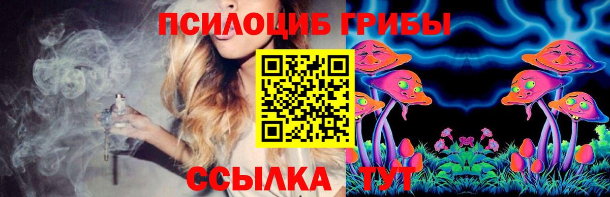 Северск  Галлюциногенные грибы GOLDEN TEACHER  Вход с VPN 